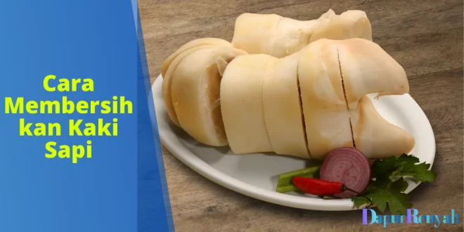 Cara Membersihkan Kaki Sapi Sebelum Dimasak