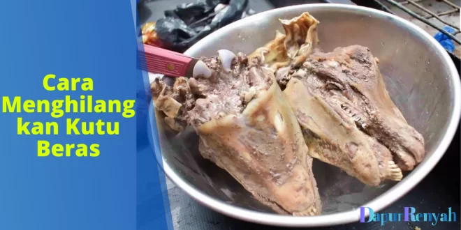Cara Membersihkan Kepala Kambing Sebelum Dimasak