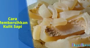 Cara Membersihkan Kulit Sapi