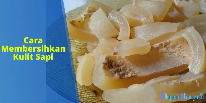 Cara Membersihkan Kulit Sapi