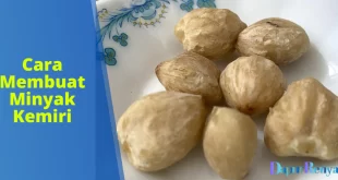 Cara Membuat Minyak Kemiri