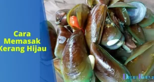 Cara Memasak Kerang Hijau