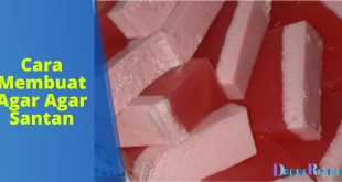 Cara Membuat Agar Agar Santan