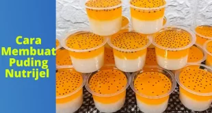 Cara Membuat Puding Nutrijel