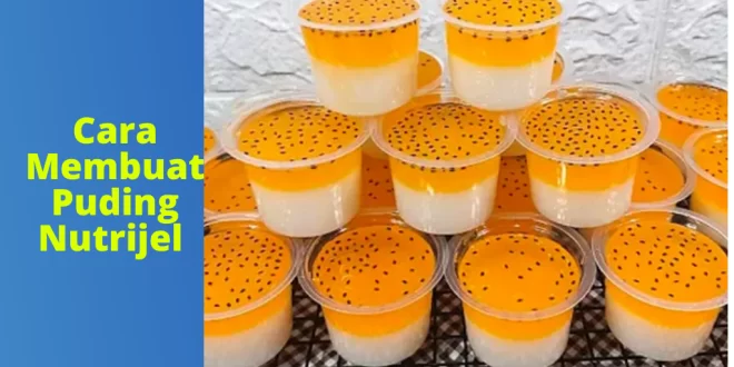 Cara Membuat Puding Nutrijel
