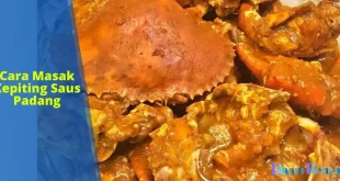 Cara Masak Kepiting Saus Padang