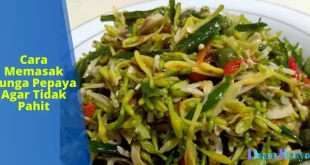 Cara Memasak Bunga Pepaya