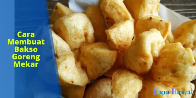 Cara Membuat Bakso Goreng Mekar