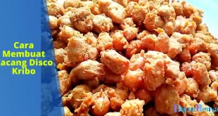 Cara Membuat Kacang Disco Kribo