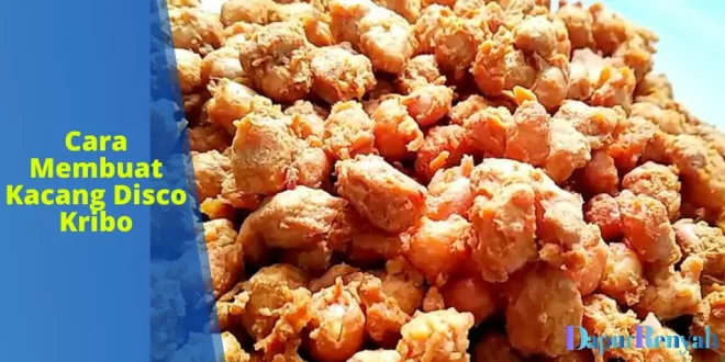 Cara Membuat Kacang Disco Kribo