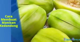 Cara Membuat Manisan Kedondong