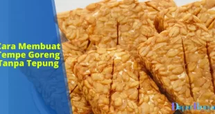 Cara Membuat Tempe Goreng Tanpa Tepung
