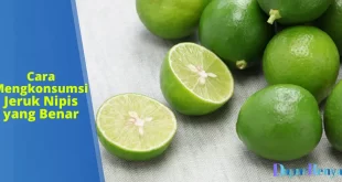 Cara Mengkonsumsi Jeruk Nipis yang Benar