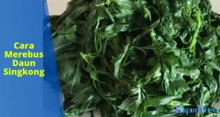 Cara Merebus Daun Singkong