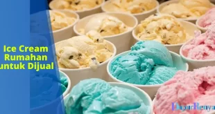 Ice Cream Rumahan untuk Dijual
