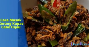 Cara masak kerang kupas cabe hijau