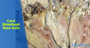 cara membuat ikan asin