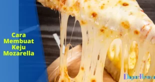 cara membuat keju mozarella