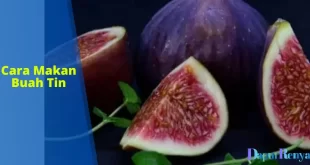 cara makan buah tin