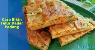 cara bikin telur dadar padang