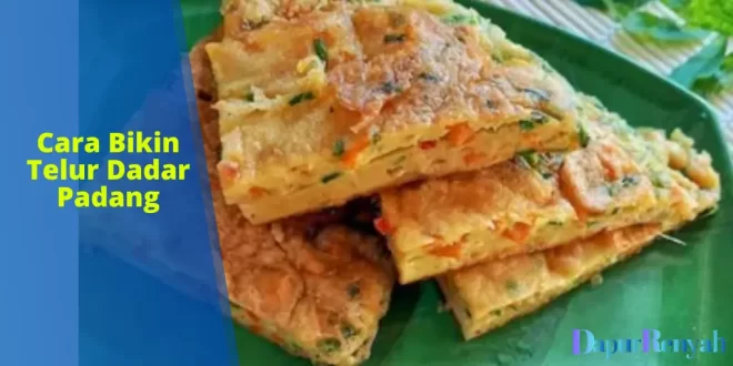 cara bikin telur dadar padang