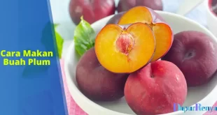 cara makan buah plum