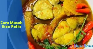 Cara Masak Ikan Patin