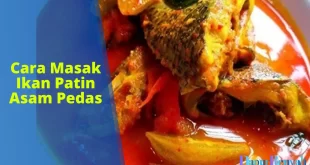 cara masak ikan patin asam pedas