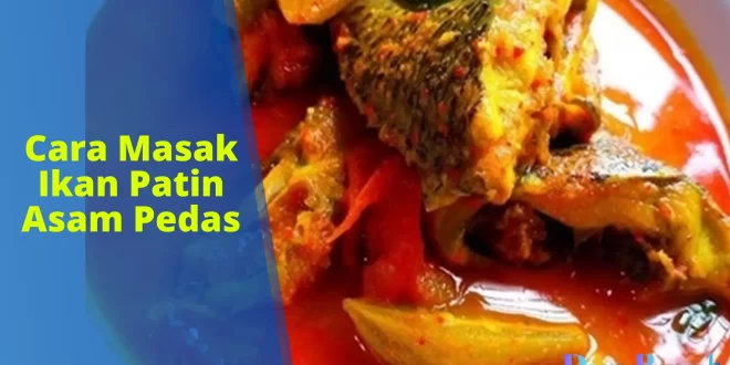 cara masak ikan patin asam pedas