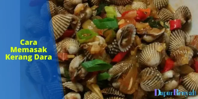 cara memasak kerang dara