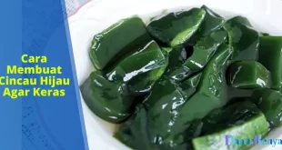 cara membuat cincau hijau agar keras