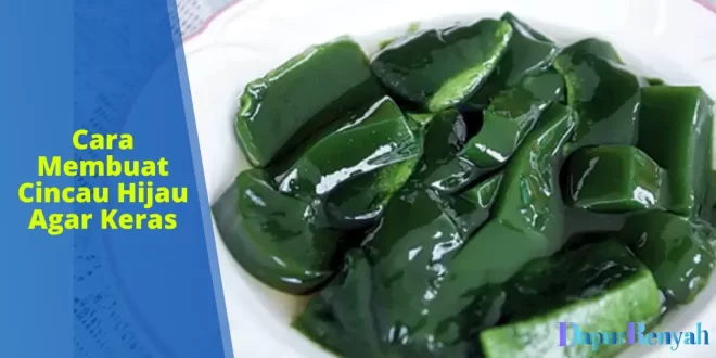 cara membuat cincau hijau agar keras