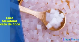 cara membuat nata de coco