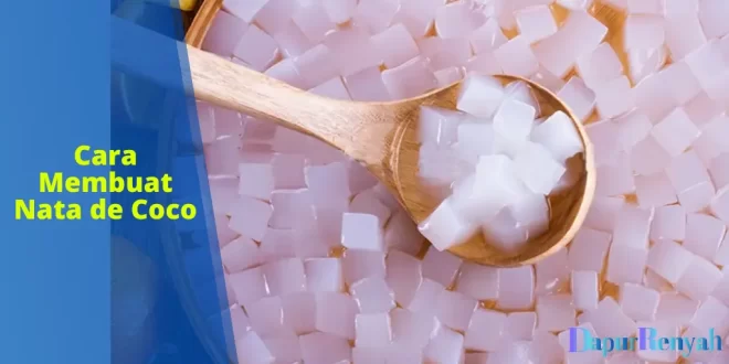 cara membuat nata de coco