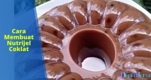cara membuat nutrijel coklat