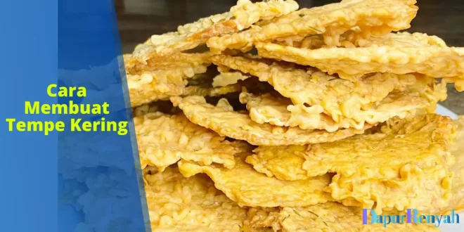 cara membuat tempe kering