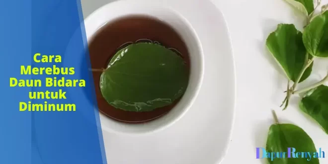 cara merebus daun bidara untuk diminum