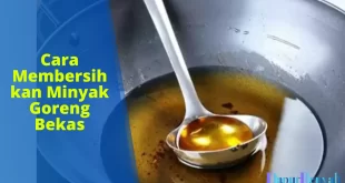 cara membersihkan minyak goreng bekas