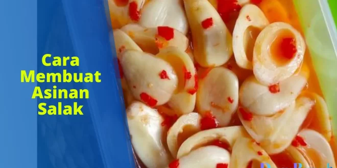 cara membuat asinan salak