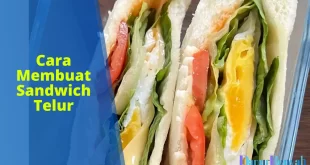 cara membuat sandwich telur