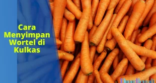 cara menyimpan wortel di kulkas