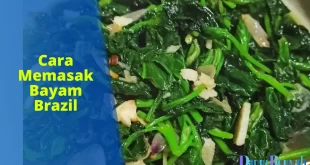 cara memasak bayam brazil