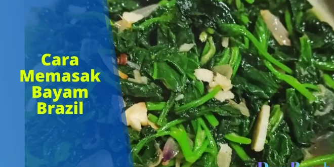 cara memasak bayam brazil
