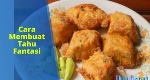 cara membuat tahu fantasi