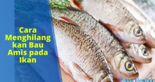 cara menghilangkan bau amis pada ikan