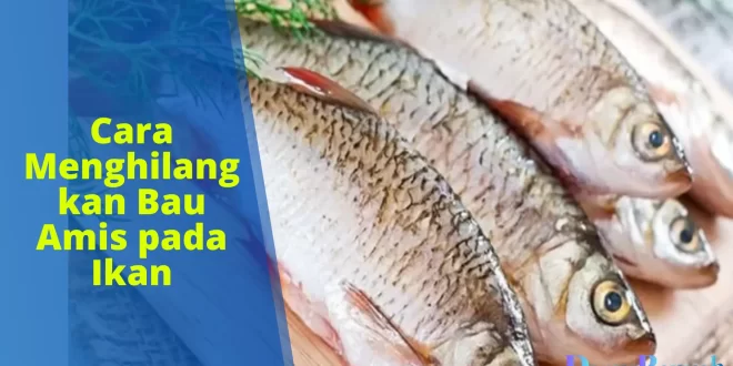 cara menghilangkan bau amis pada ikan