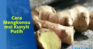 cara mengkonsumsi kunyit putih