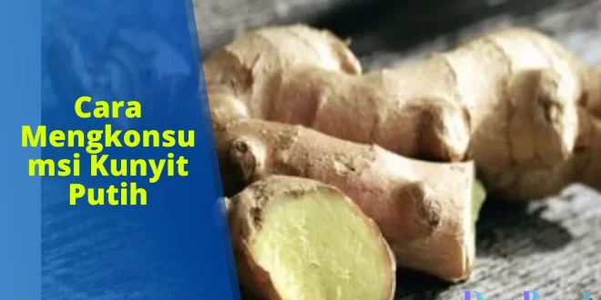 cara mengkonsumsi kunyit putih