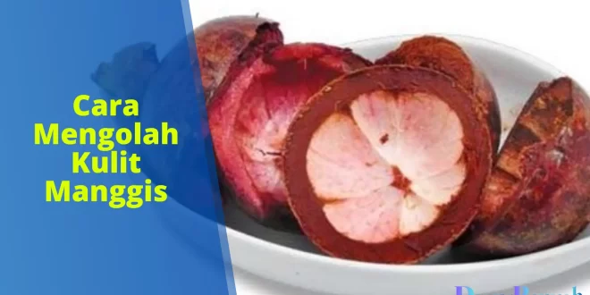 cara mengolah kulit manggis