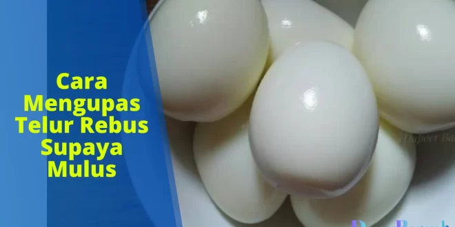 Cara Mengupas Telur Rebus Supaya Mulus